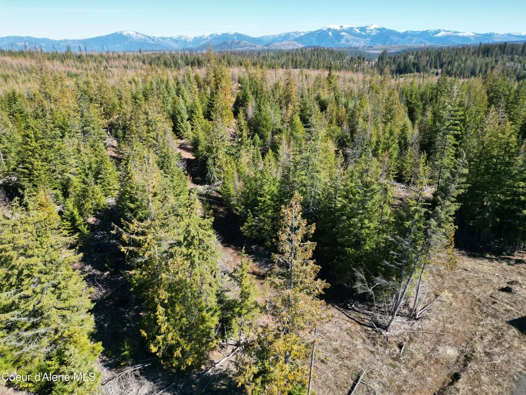 123 Badger Drive St. Maries ID 83861