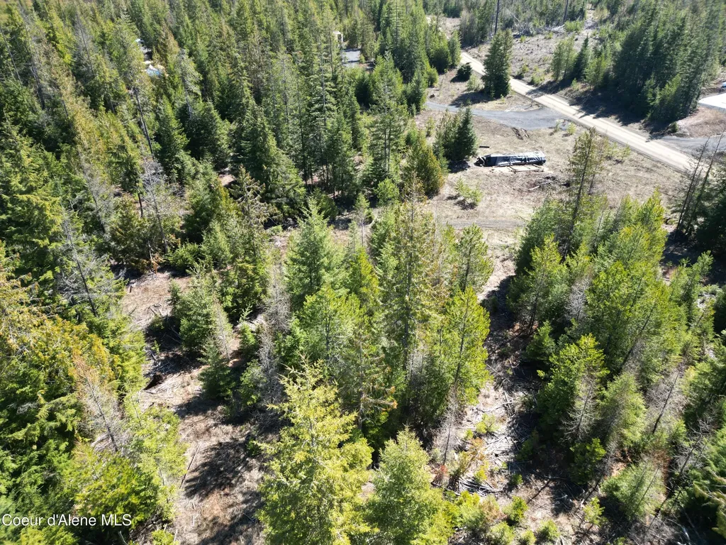 123 Badger Drive St. Maries ID 83861