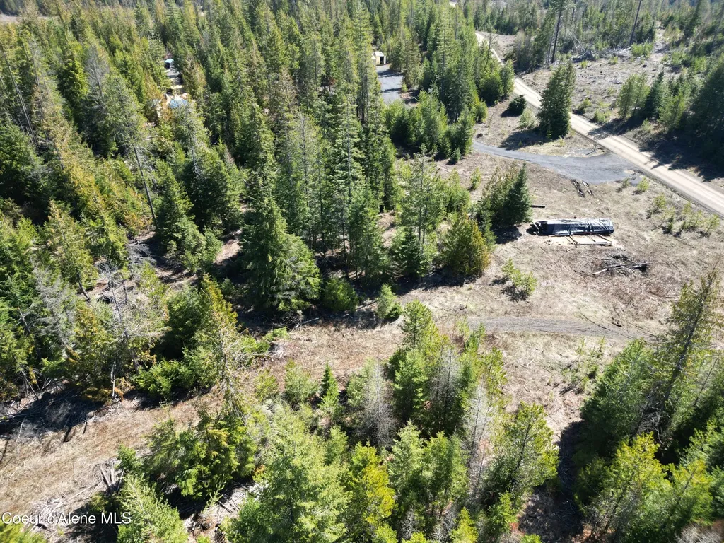 123 Badger Drive St. Maries ID 83861