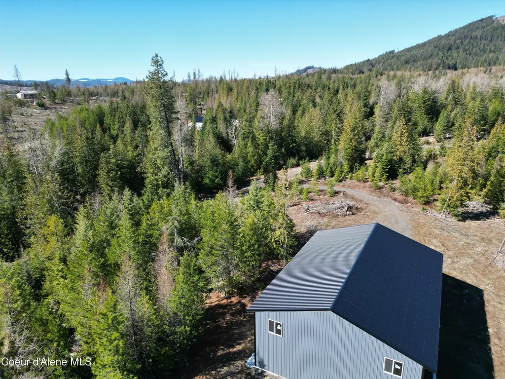 123 Badger Drive St. Maries ID 83861