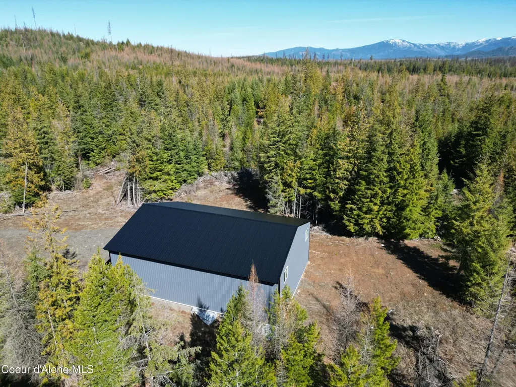 123 Badger Drive St. Maries ID 83861