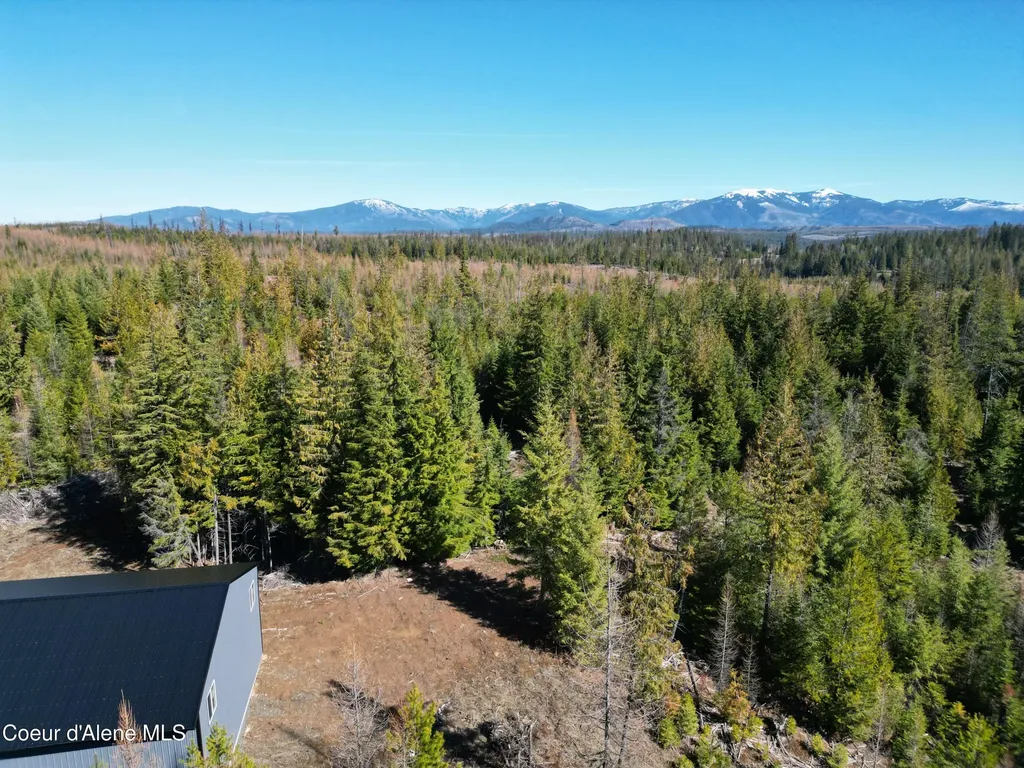 123 Badger Drive St. Maries ID 83861