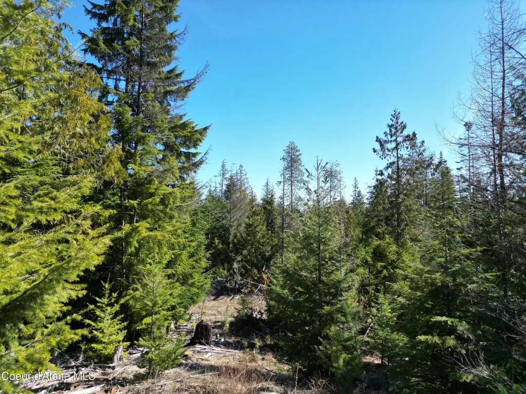 123 Badger Drive St. Maries ID 83861