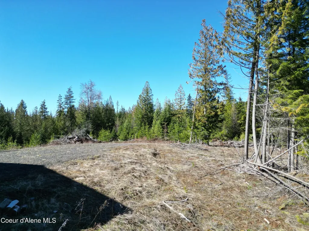 123 Badger Drive St. Maries ID 83861