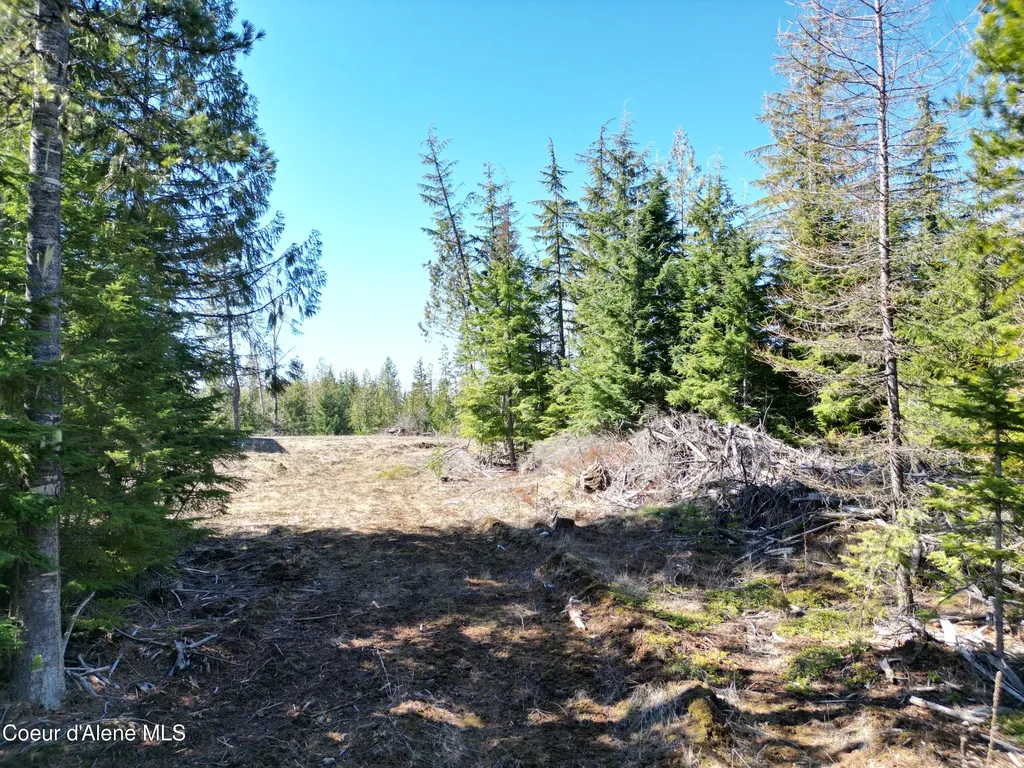 123 Badger Drive St. Maries ID 83861