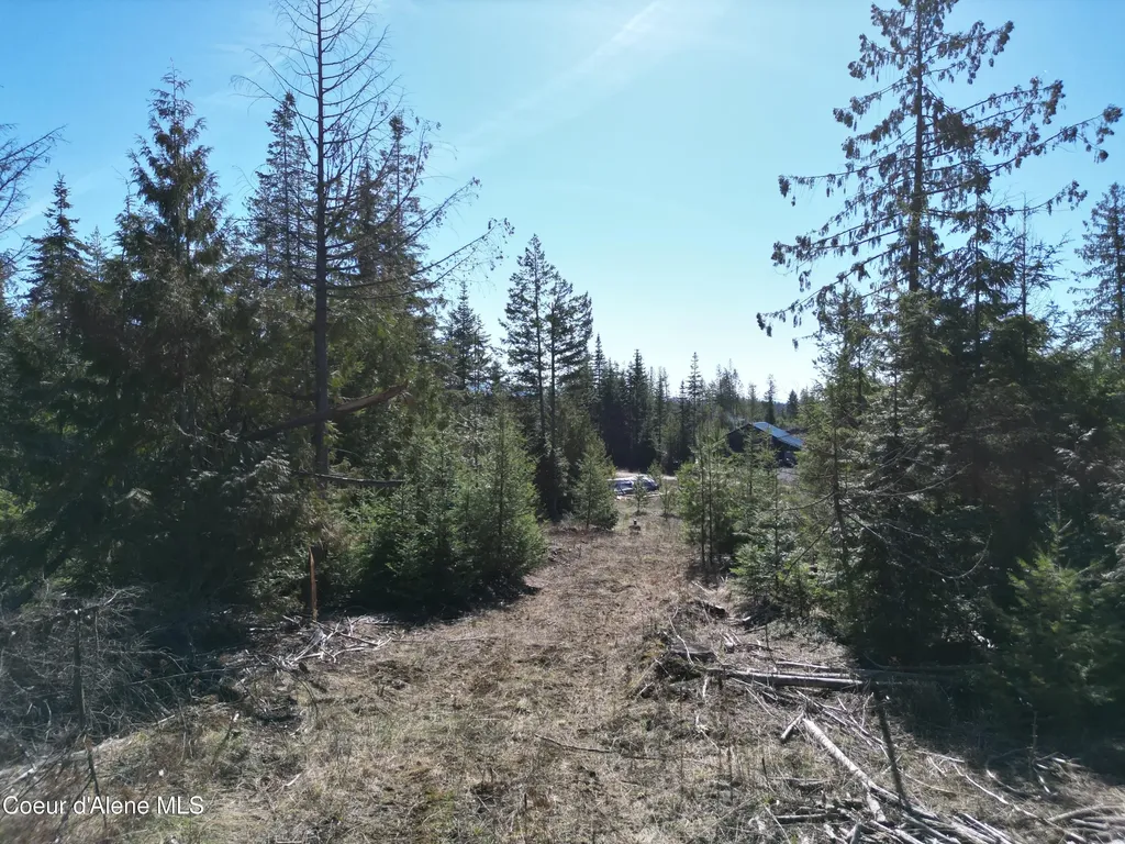 123 Badger Drive St. Maries ID 83861