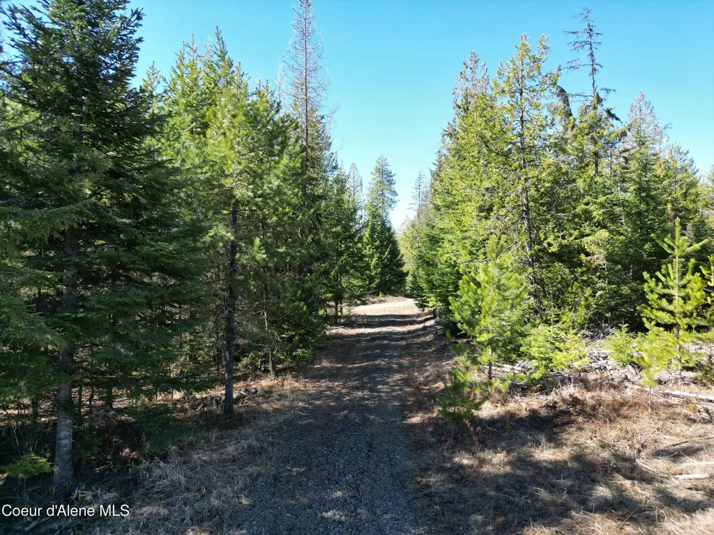 123 Badger Drive St. Maries ID 83861