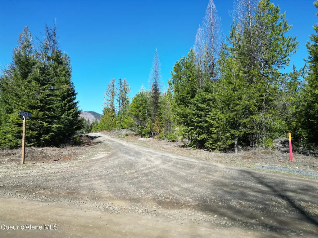 123 Badger Drive St. Maries ID 83861