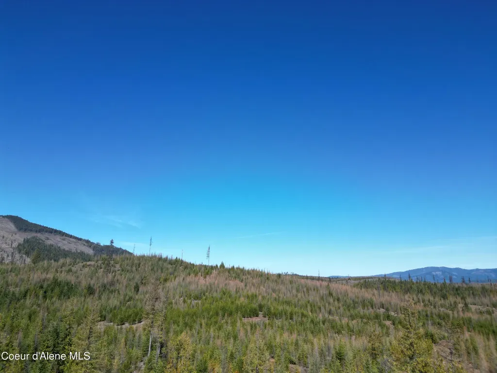 123 Badger Drive St. Maries ID 83861