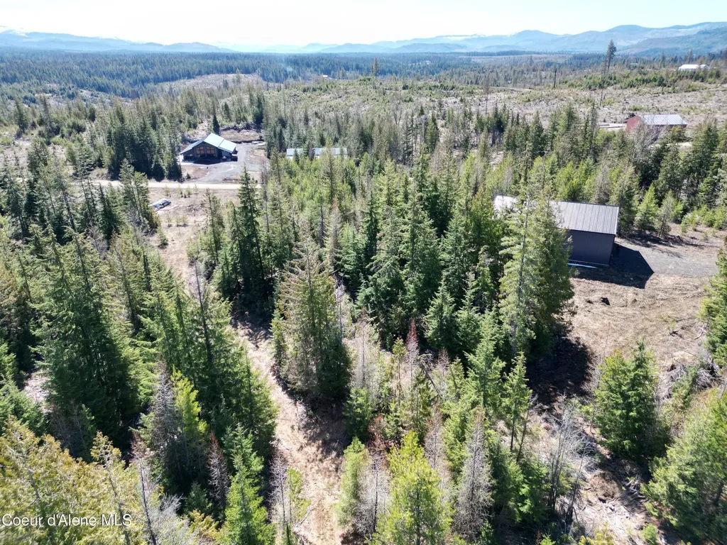 123 Badger Drive St. Maries ID 83861