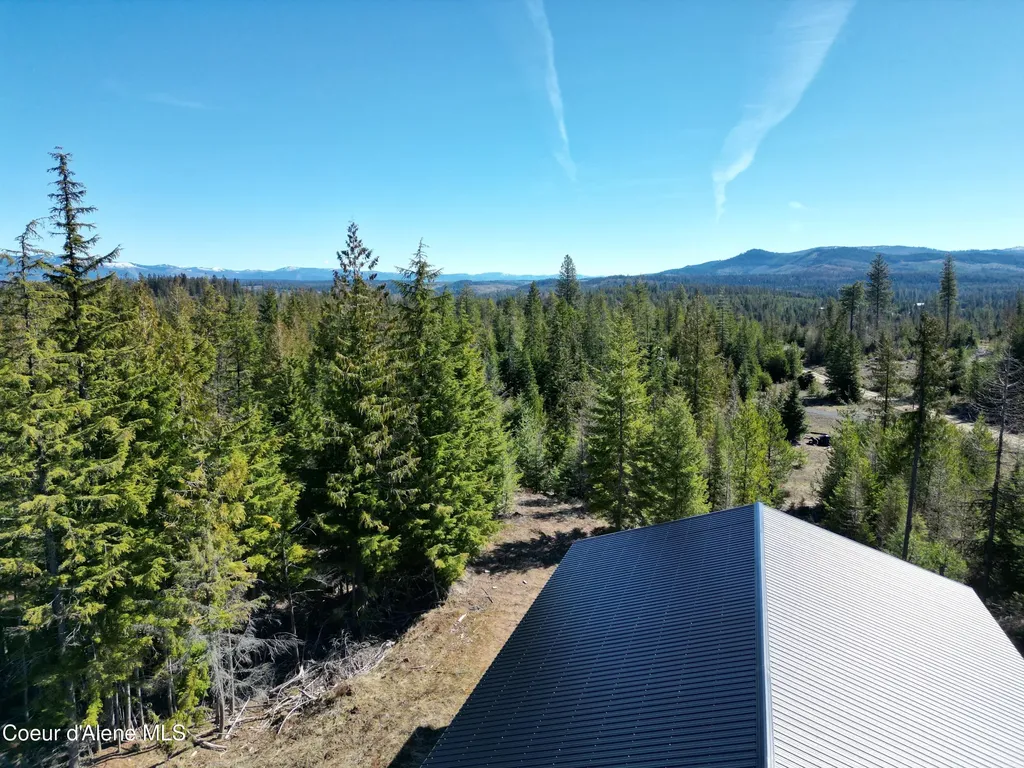 123 Badger Drive St. Maries ID 83861