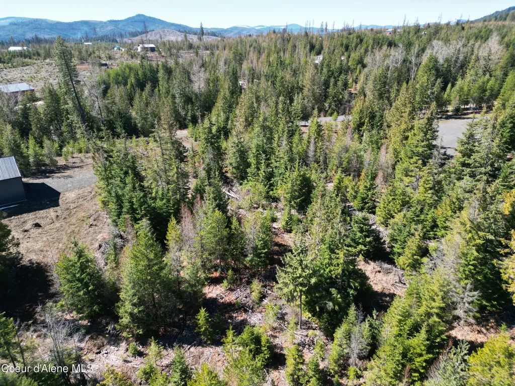 123 Badger Drive St. Maries ID 83861