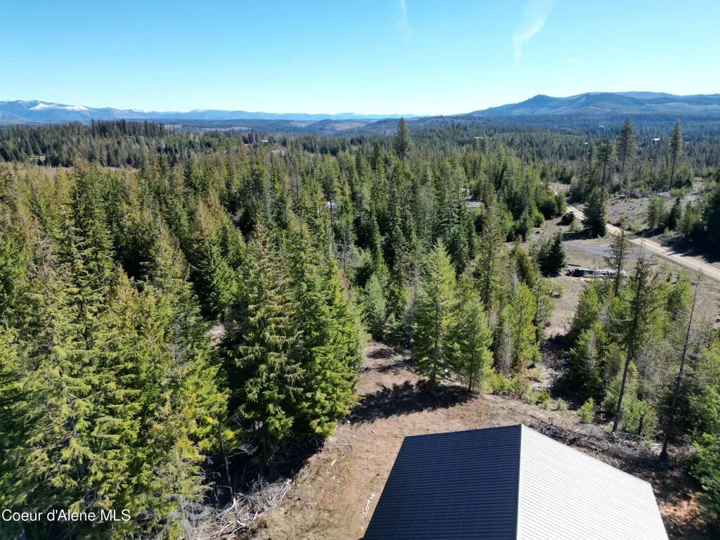 123 Badger Drive St. Maries ID 83861