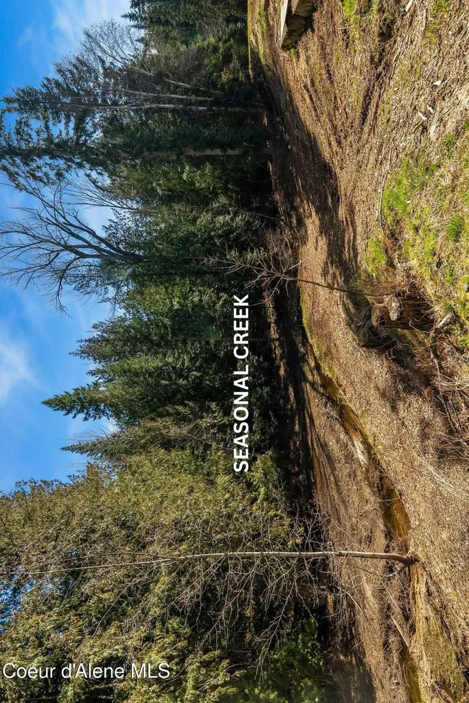 300 Sunny Shadows Lane Sandpoint ID 83864