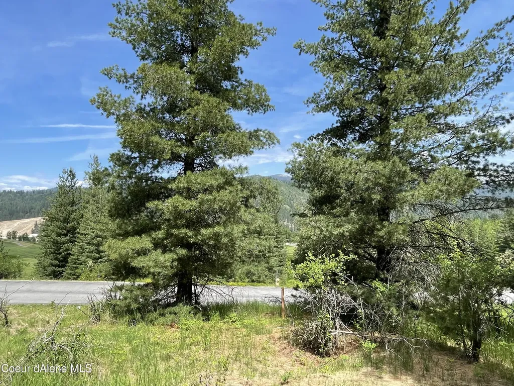 283 Diamond Hitch Drive Kellogg ID 83837