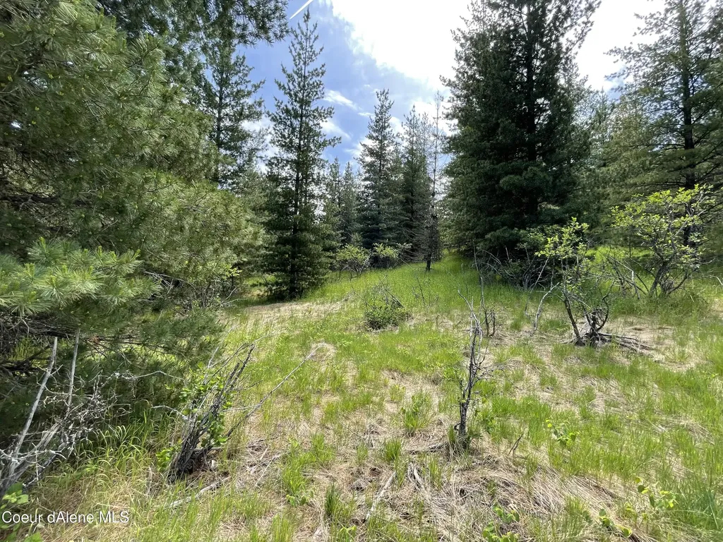 283 Diamond Hitch Drive Kellogg ID 83837
