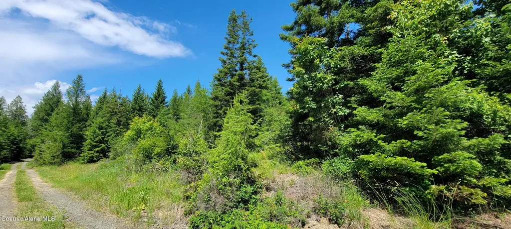 Bootlegger Lane- Parcel 1 Bonners Ferry ID 83805