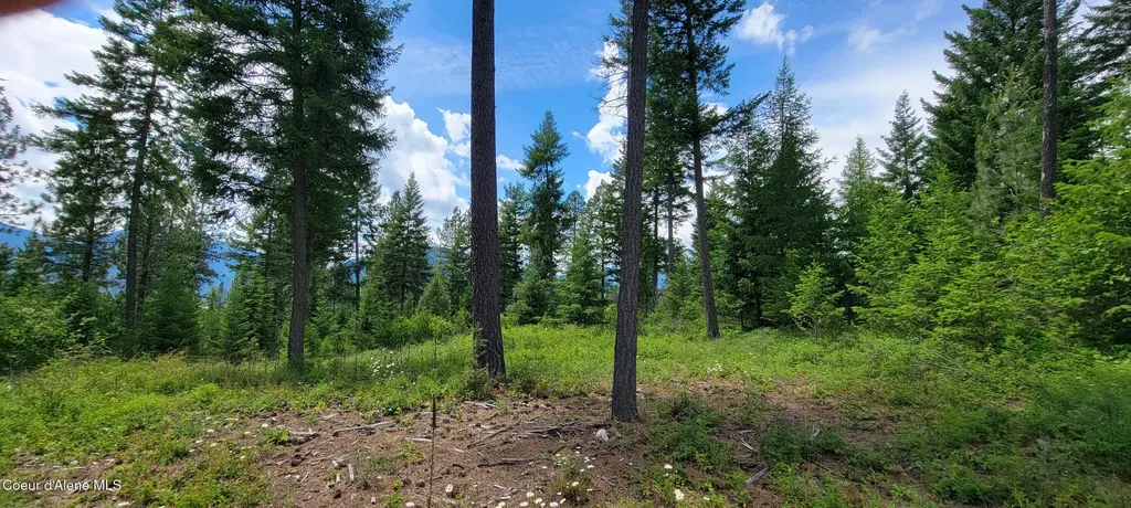 Bootlegger Lane- Parcel 1 Bonners Ferry ID 83805