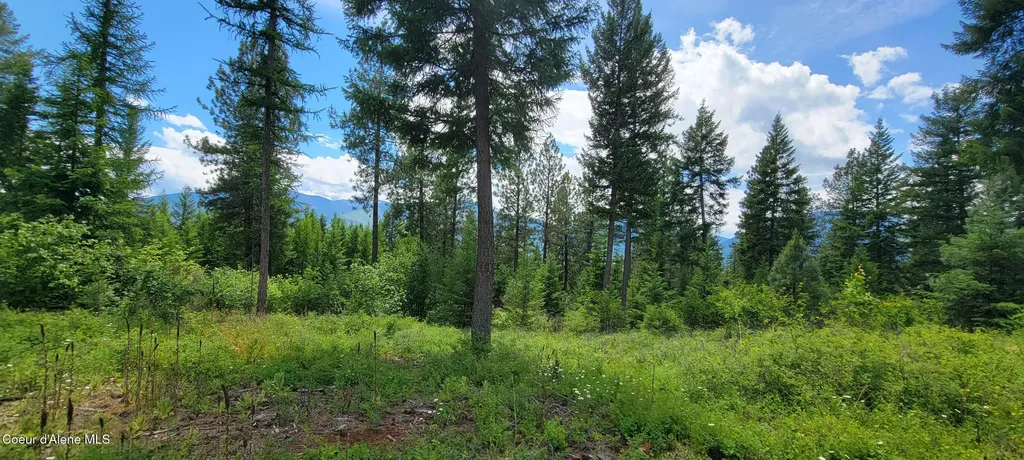 Bootlegger Lane- Parcel 1 Bonners Ferry ID 83805