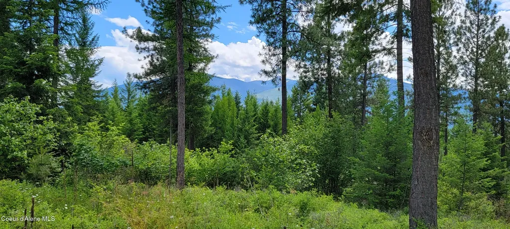 Bootlegger Lane- Parcel 1 Bonners Ferry ID 83805