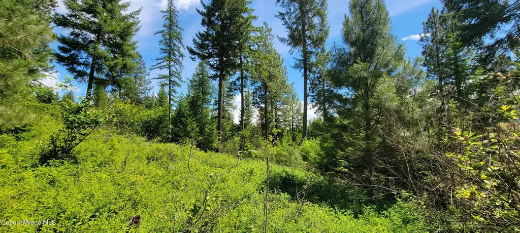 Bootlegger Lane- Parcel 1 Bonners Ferry ID 83805