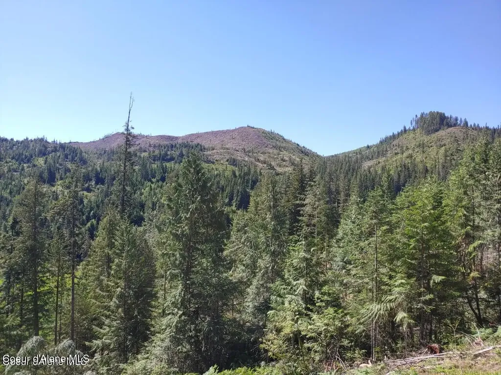 Nka Railroad Grade Road St. Maries ID 83861