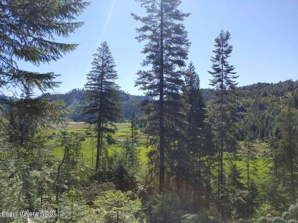 Nka Railroad Grade Road St. Maries ID 83861
