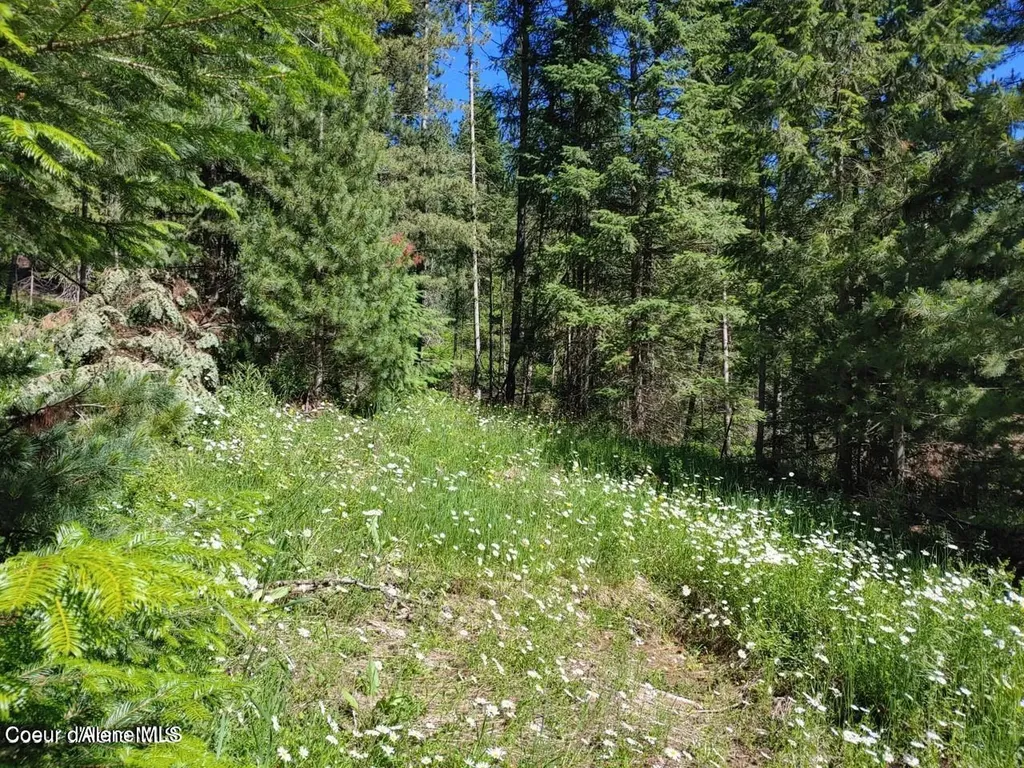 Nka Railroad Grade Road St. Maries ID 83861