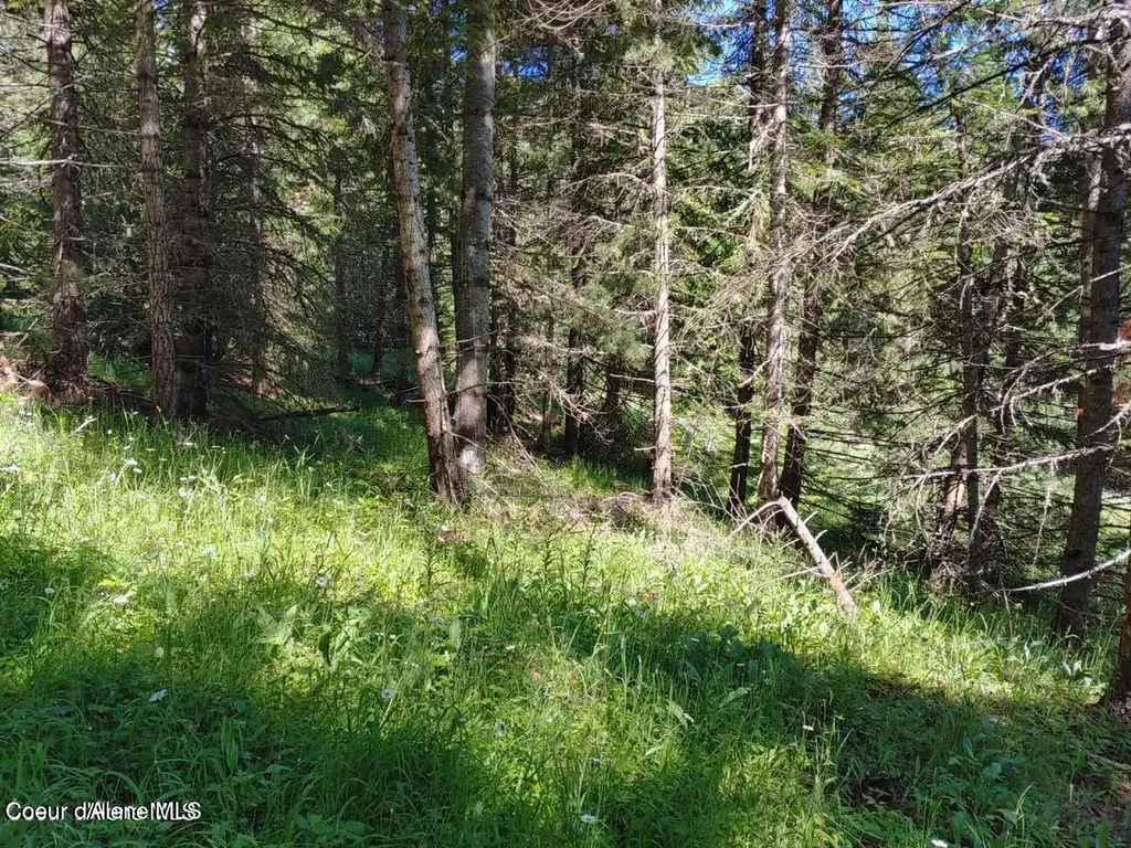Nka Railroad Grade Road St. Maries ID 83861