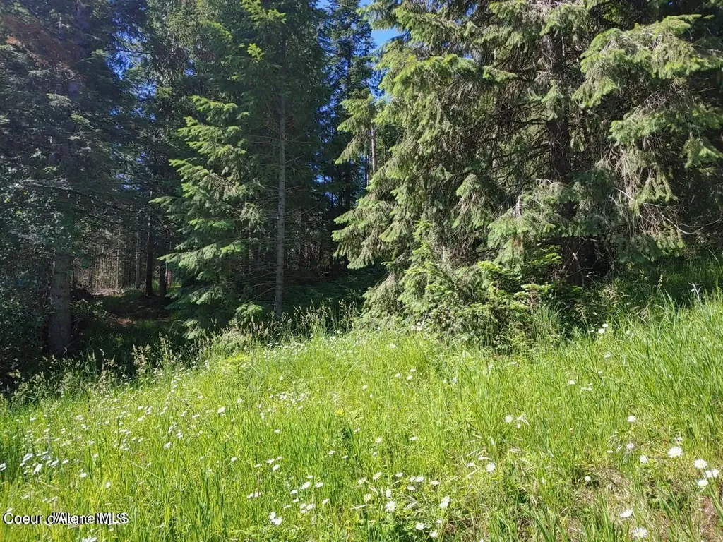 Nka Railroad Grade Road St. Maries ID 83861