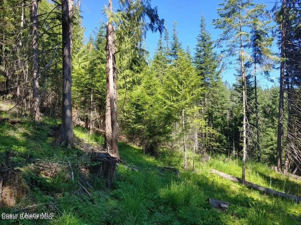 Nka Railroad Grade Road St. Maries ID 83861