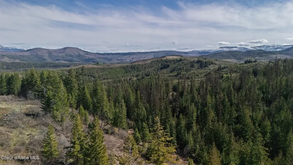 5500 Gold Ridge Road Calder ID 83808