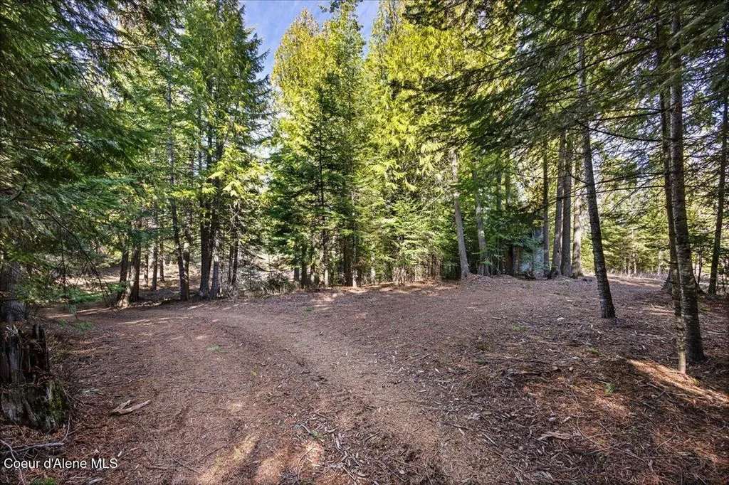 8072 W Radmer Road Rathdrum ID 83858