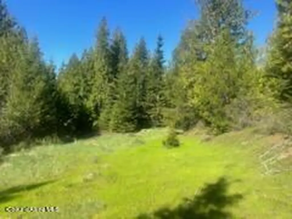 0 Balsam Lane St. Maries ID 83861