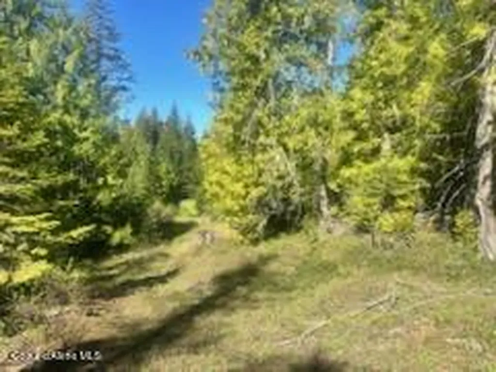 0 Balsam Lane St. Maries ID 83861