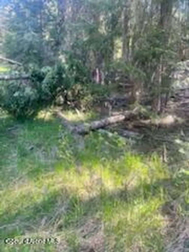 0 Balsam Lane St. Maries ID 83861