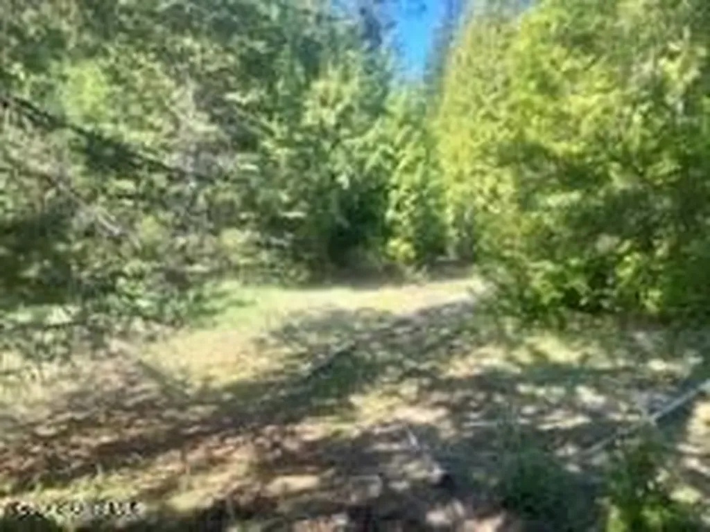 0 Balsam Lane St. Maries ID 83861