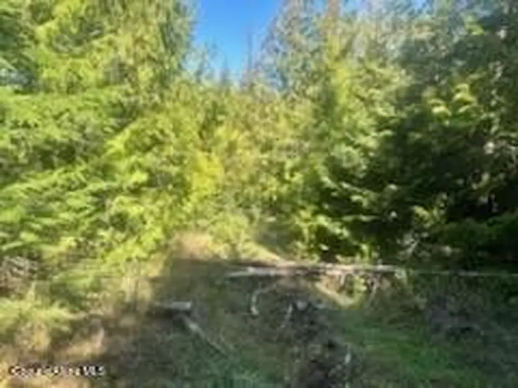 0 Balsam Lane St. Maries ID 83861