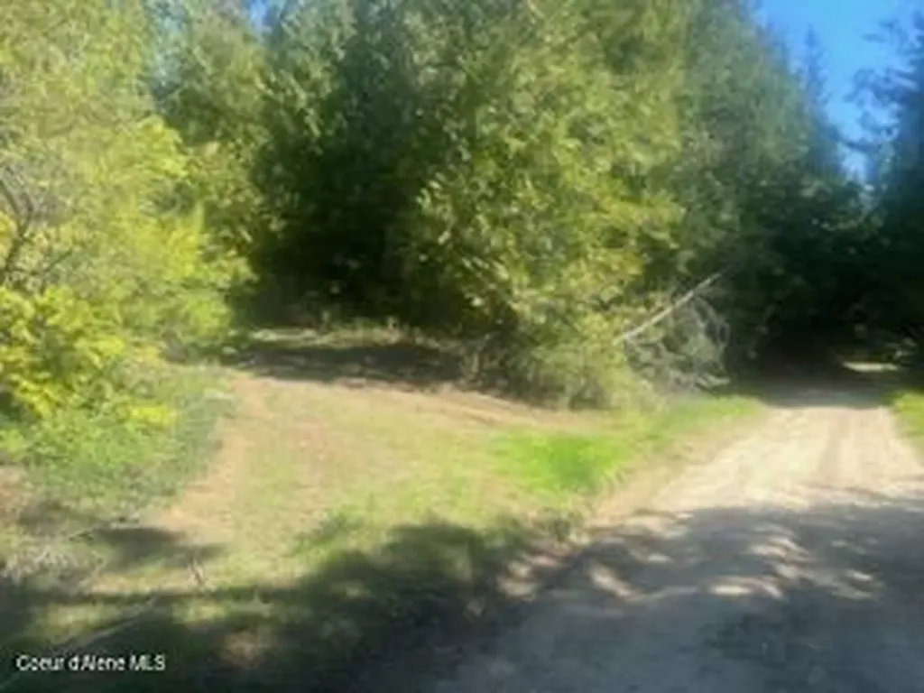 0 Balsam Lane St. Maries ID 83861