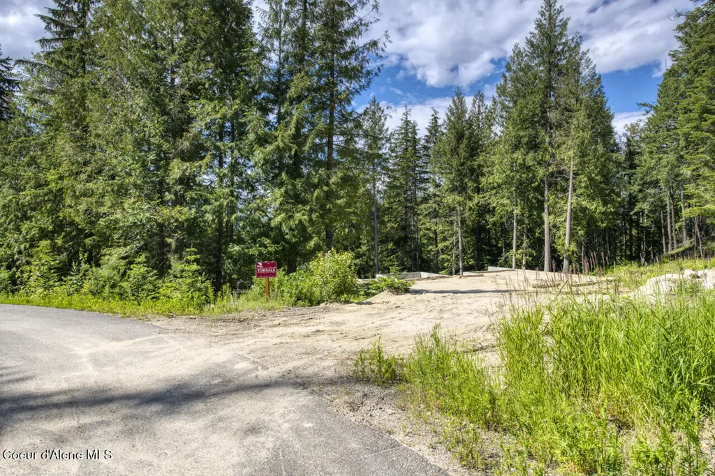 215 White Cloud Drive Sandpoint ID 83864