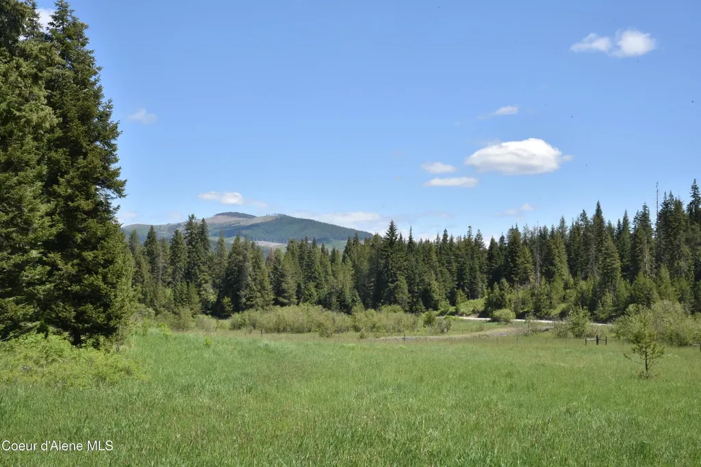 Nna Lot 2 Carpenter Creek Road Fernwood ID 83830