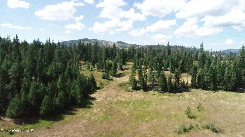 Nna Lot 2 Carpenter Creek Road Fernwood ID 83830