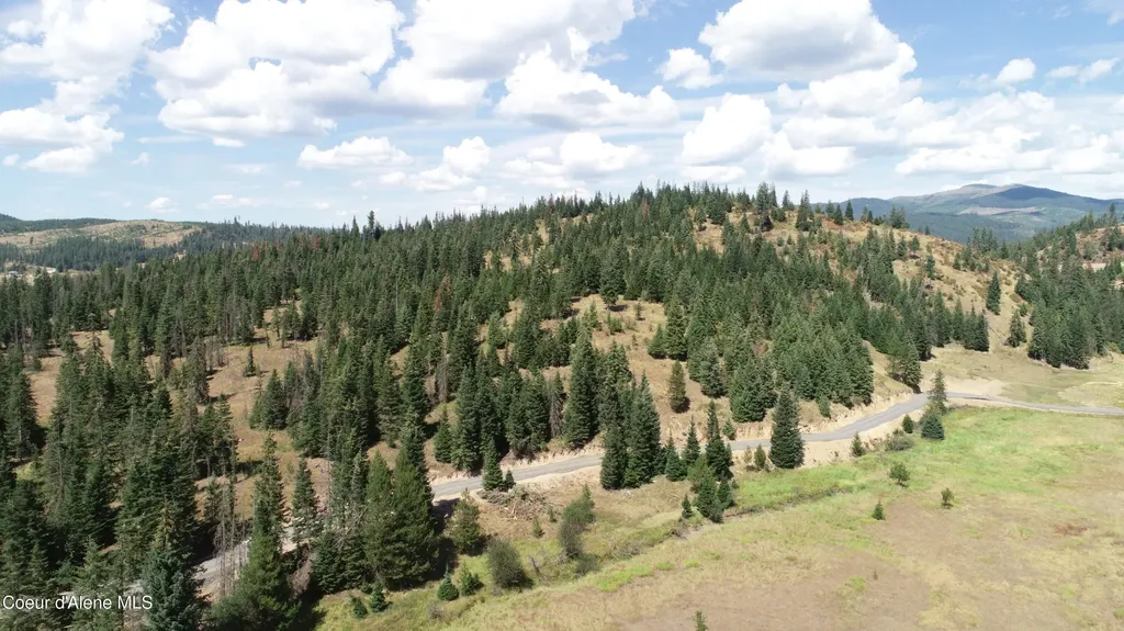 Nna Lot 2 Carpenter Creek Road Fernwood ID 83830