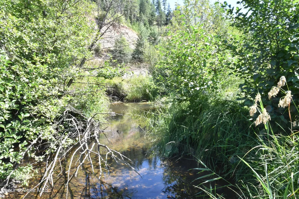 Nna Lot 2 Carpenter Creek Road Fernwood ID 83830