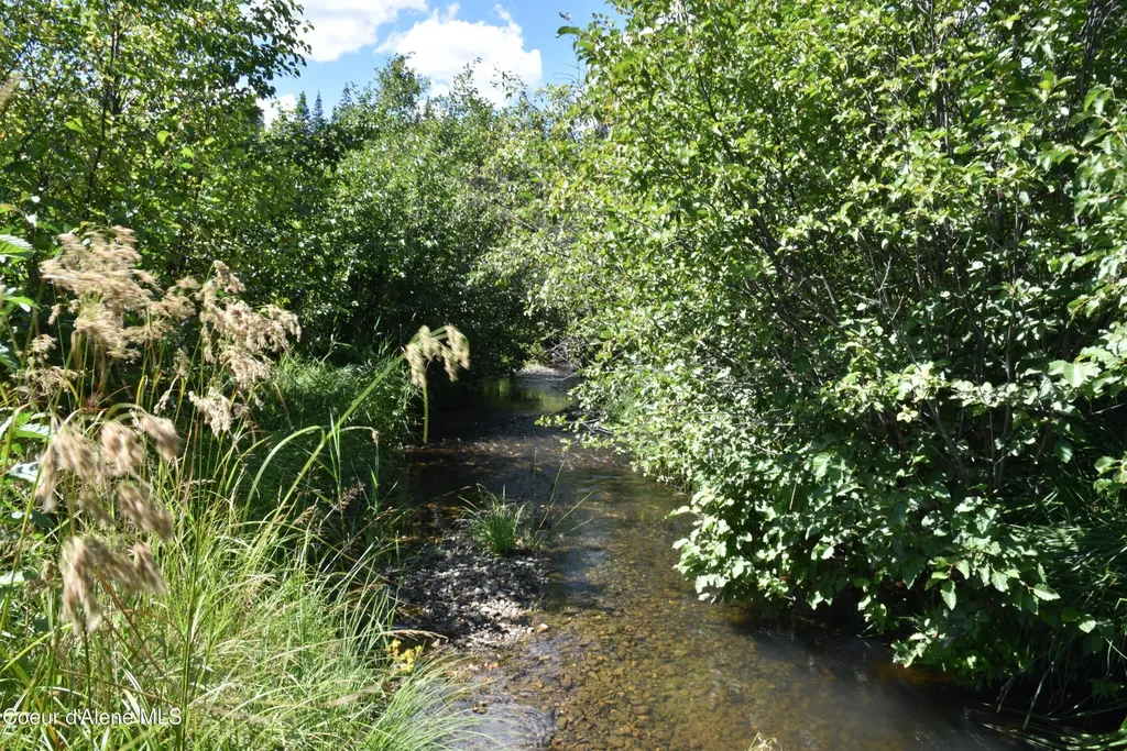 Nna Lot 2 Carpenter Creek Road Fernwood ID 83830