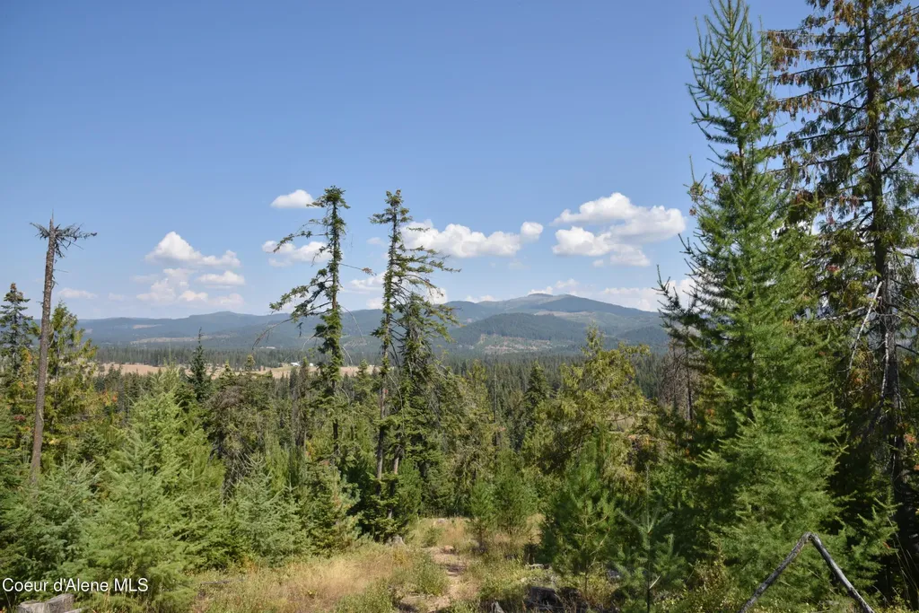 Nna Lot 2 Carpenter Creek Road Fernwood ID 83830