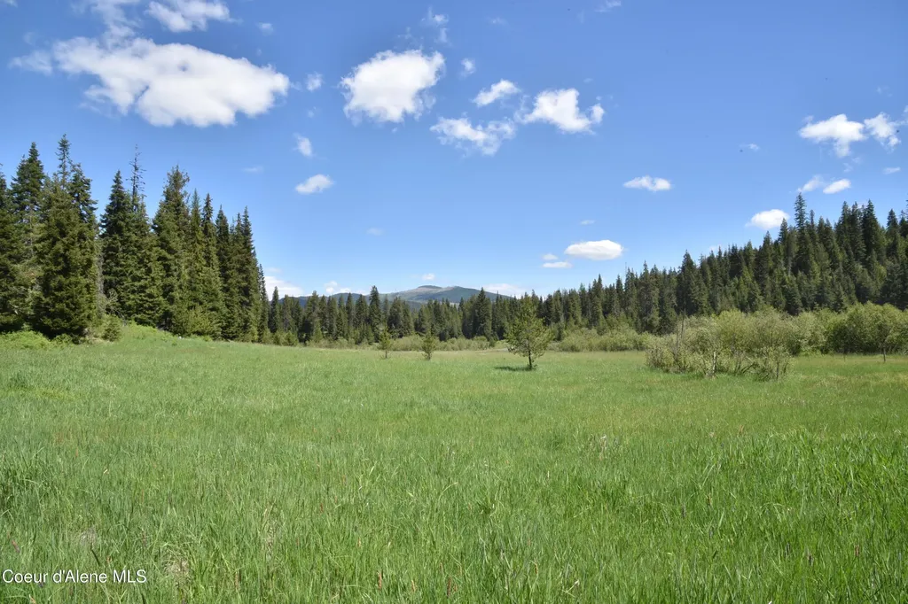 Nna Lot 2 Carpenter Creek Road Fernwood ID 83830