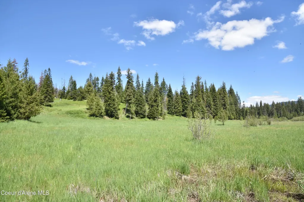 Nna Lot 2 Carpenter Creek Road Fernwood ID 83830