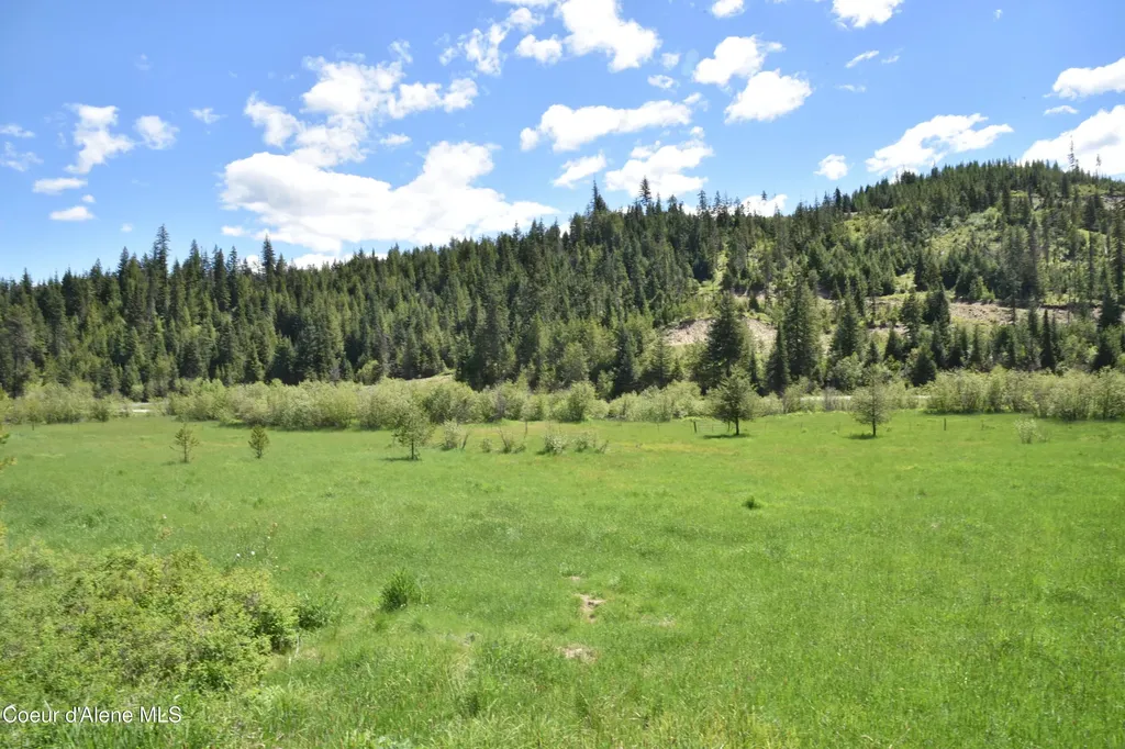 Nna Lot 2 Carpenter Creek Road Fernwood ID 83830