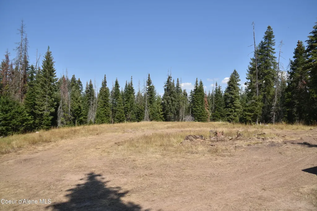 Nna Lot 2 Carpenter Creek Road Fernwood ID 83830